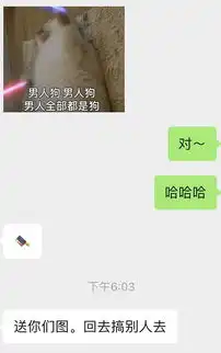 很无聊的表情包办公室