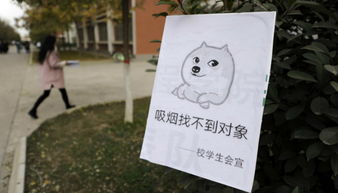 表情包生意指北