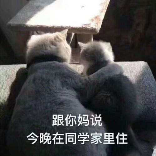  有没有什么移动电信卡适合玩游戏