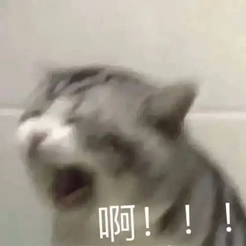  实用斗图表情包