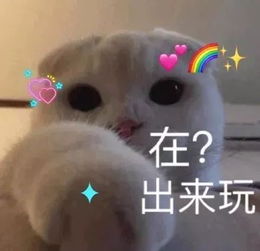  全新猫咪表情包,快快收藏