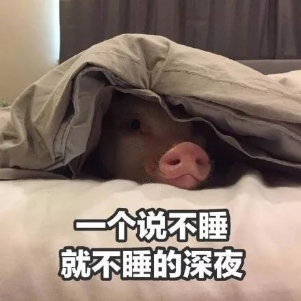  表情包丨放假的意义大概就是这么滴吧