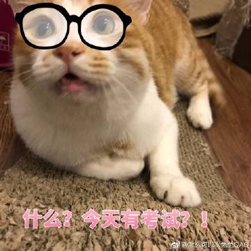  表情微博表情