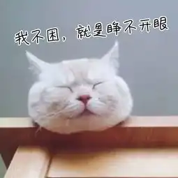 打印机选纸指南来啦 打印机选纸指南来啦