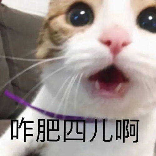 微信表情包保存到图库憨