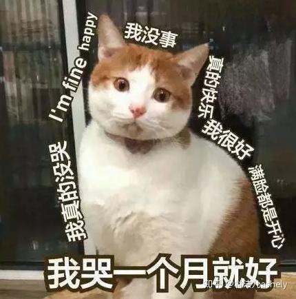  年末超低折扣,李佳琦推荐的粉底,景甜爱的护发素,最贵不过百元