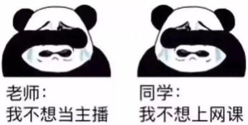  有没有适合疫情期间网上上课的表情包