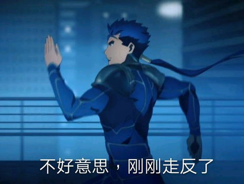  fgo沙雕表情包20