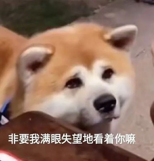  警惕冬季这两种病毒都得防东北一地发布寻人公告