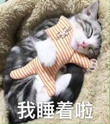  撸猫吸猫专用表情包我睡着啦堆糖,美好生活超可爱猫咪表情包