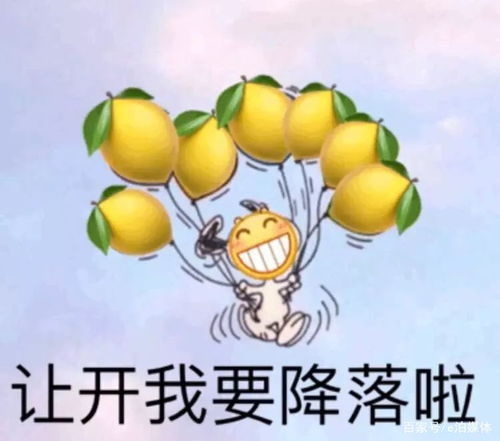 生日斗图表情包柠檬