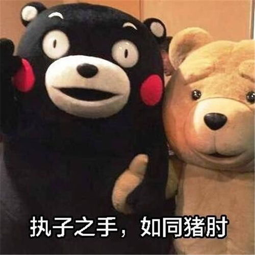  表情熊本熊热门爆笑表情包执子之手,如同猪肘表情