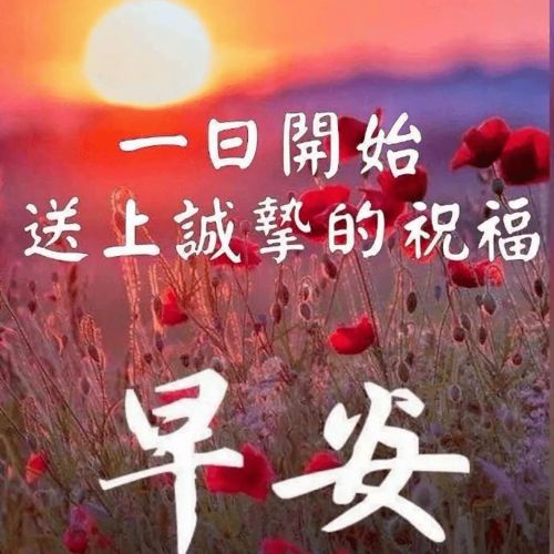  12月2日最美早安问候语表情图片,最新漂亮早上好表情动态图