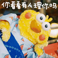  禾城最近天天在说鸡,没想到最红的几只鸡是它们