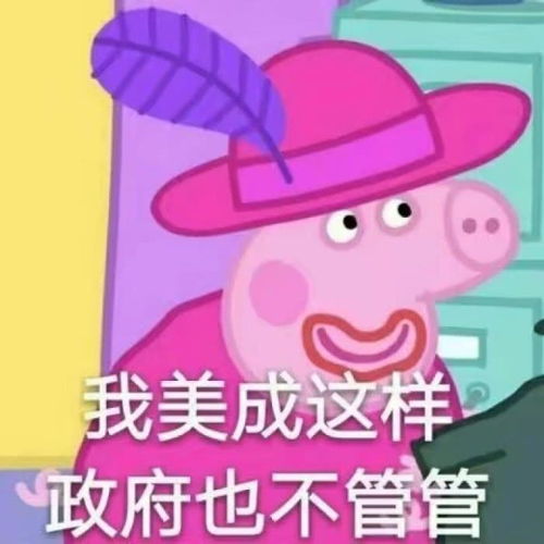 猪头像情侣表情包小猪佩