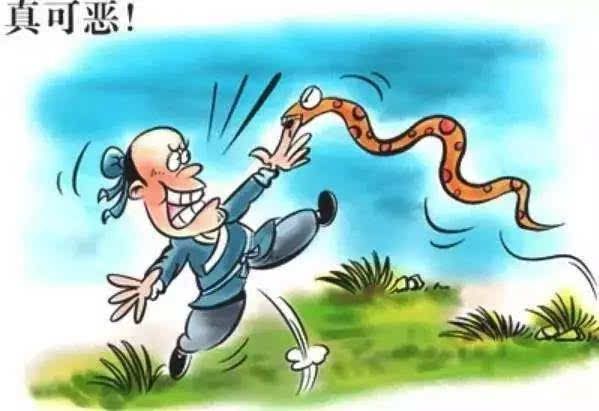  现实版农夫与蛇的真实事件