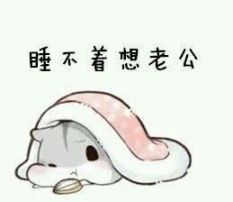  仓鼠表情包夸老公表情包合集老公最帅,老公最棒