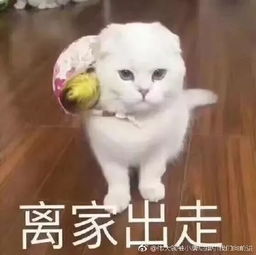  无法呼吸我的一整套萝卜丁口红,lv包包就被她这样轻松毁了....