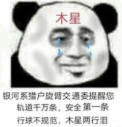 给我也看看吧表情包表情