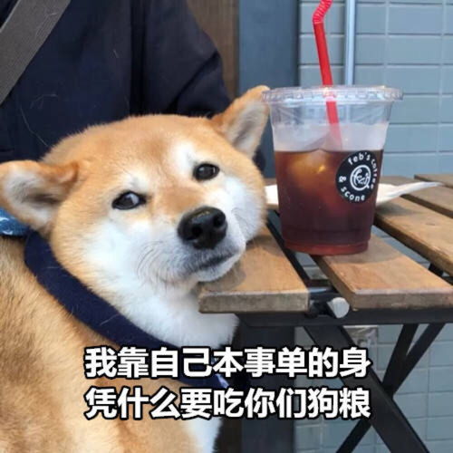  沙雕表情包l老实人必须得到爱情