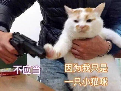 呜呜呜呜的表情包可爱外