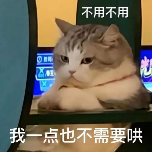  下辈子一定能用上的情侣表情包