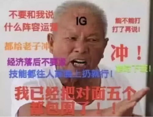  ig夺冠王思聪表情包风行电竞被正名,奋斗吧网瘾少年们