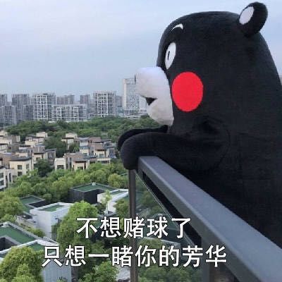 德国表情包王大楠