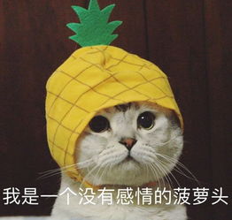  你有哪些让你一秒变开心的表情包