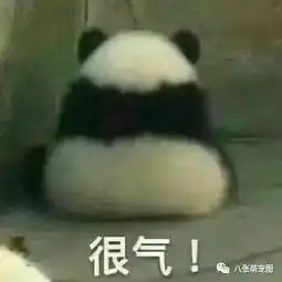 大熊猫脱裤照火爆了天雷滚滚9年了还不放过我,我不要面子啊 大熊猫脱裤照火爆了天雷滚滚9年了还不放过我,我不要面子啊