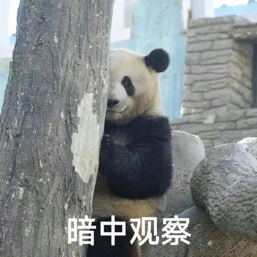 大学生不要再发求捞表情包了别再发求捞表情包了,大学生们