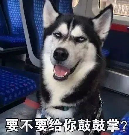  给狗狗剃毛后,它几天没理我了