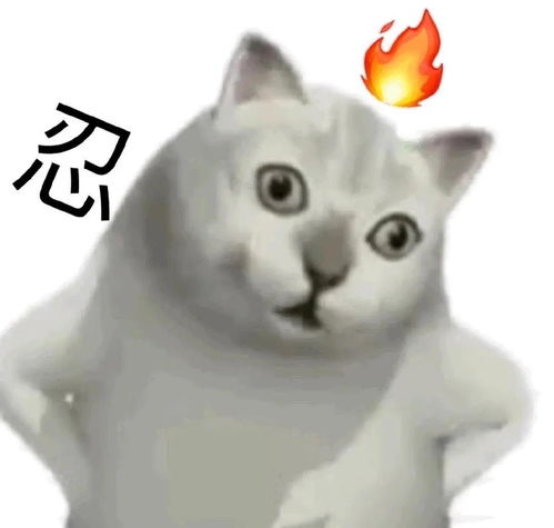  开课了