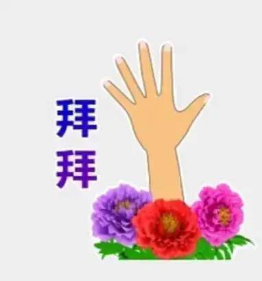  王思聪,史上最卑微甲方
