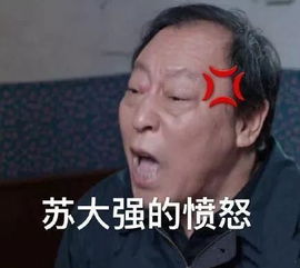 收藏表情包苏大强