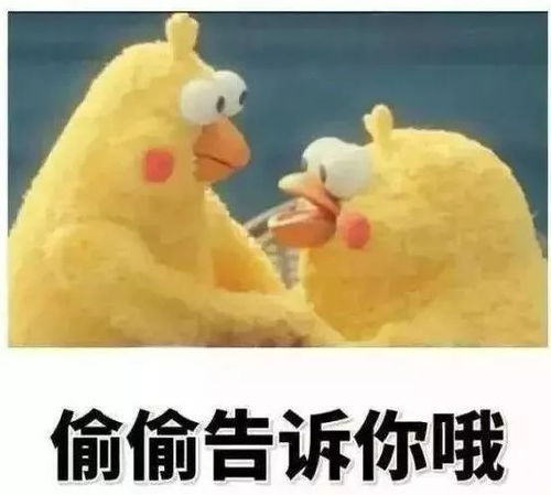  面对一堆美食无法下嘴你现在可以这么做秒变食神