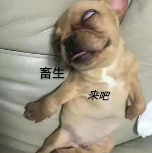 每日沙雕表情包 每日沙雕表情包