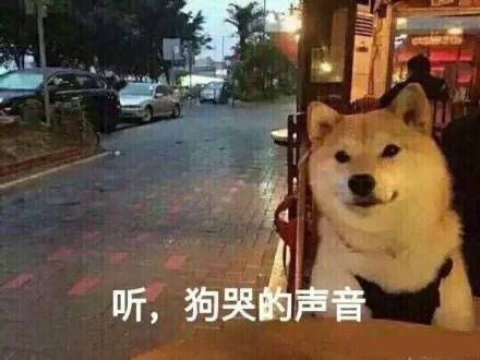  别人不回复微信时能用什么表情包暗示一下