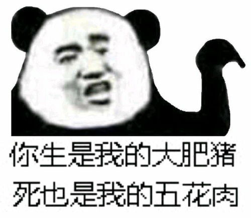 加vx的表情包自杀