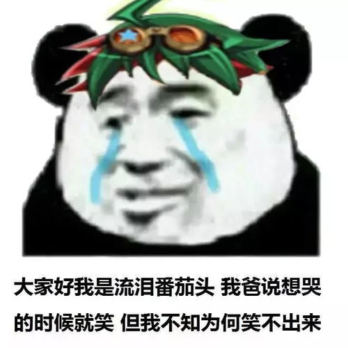  真的假的上海第三苏州机场有望落户常熟s4号线也传来好消息