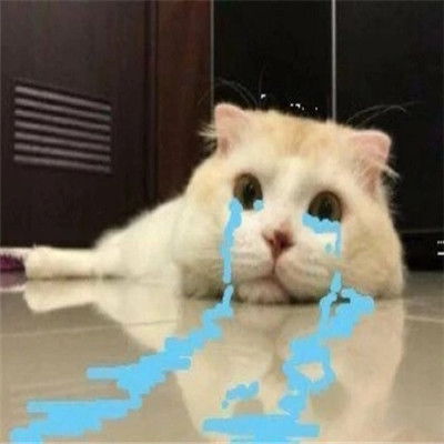  猛虎落泪的经典热门表情