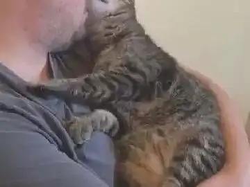 狸花猫走丢一个月,当它回家的那一刻,猫咪的表情让人揪心 狸花猫走丢一个月,当它回家的那一刻,猫咪的表情让人揪心