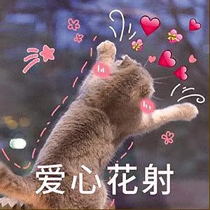  求姐妹们推荐1688上好用的化妆棉好看的...