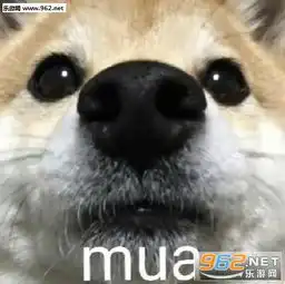 我偏无理取闹除非先生抱抱表情包下载乐游网游戏下载 我偏无理取闹除非先生抱抱表情包下载乐游网游戏下载