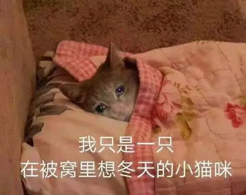  智卉集团锐智暖通设备等企业于1月56日举行现场招聘会