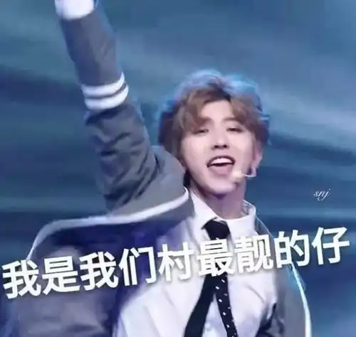 蔡徐坤发型表情包鬼畜头