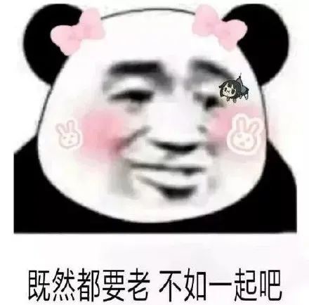  搞笑熊猫头撩汉表情包,既然都要老不如一起吧