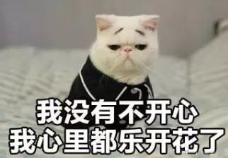  广州,一个比抖音套路都要多的城市长点心,千万别被骗了...