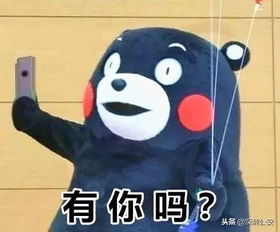  小程序app一键举报交通违法你来随手拍,蜀黍发红包