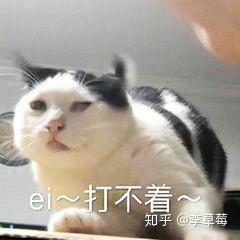  有哪些怼男朋友的表情包